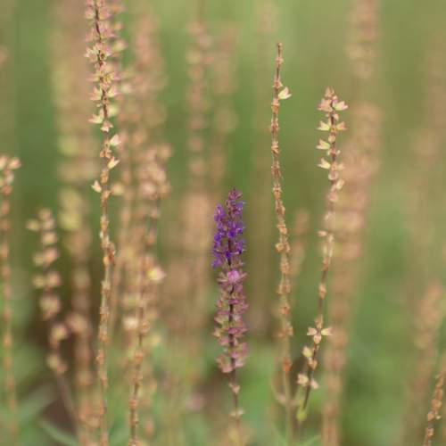 Photo #12479911