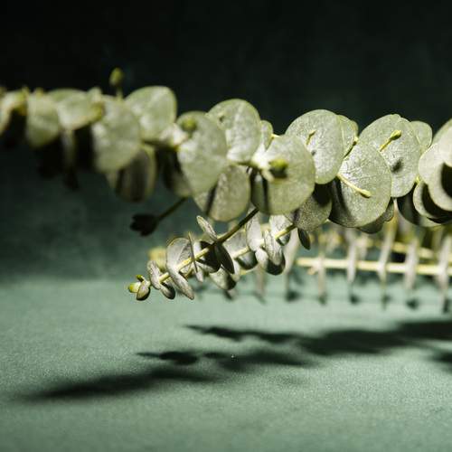 Photo #12479954