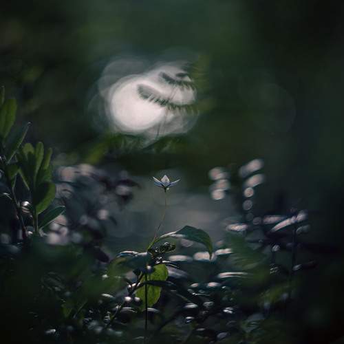 Photo #12479988