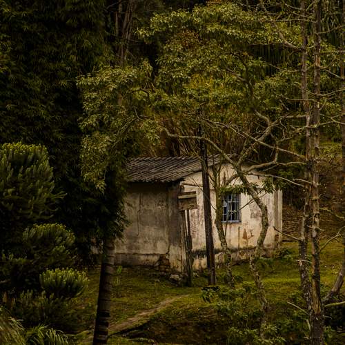 Photo #12480196