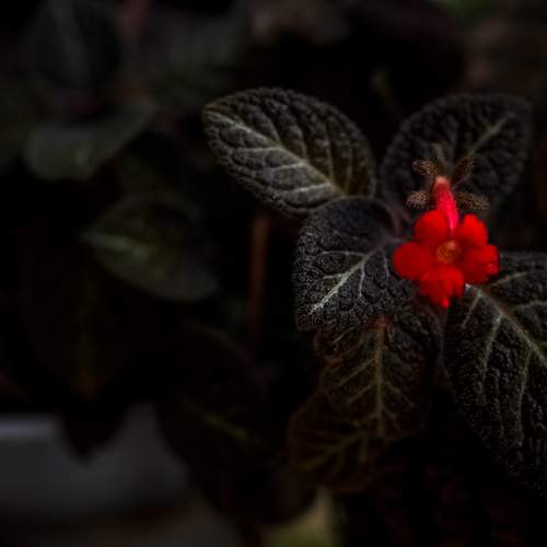 Photo #12480393