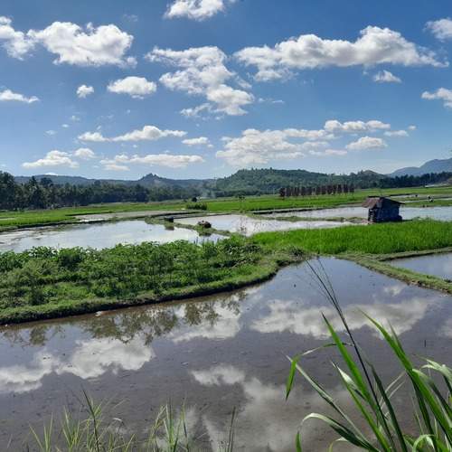 Photo #12480422