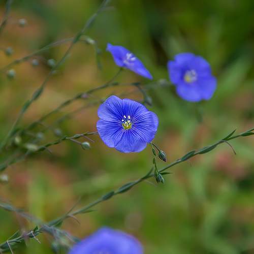 Photo #12480491