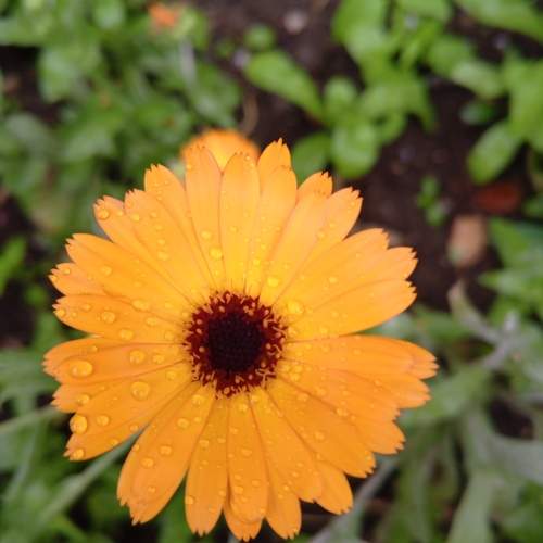 Photo #12480508