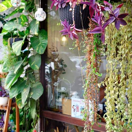 Photo #12480524