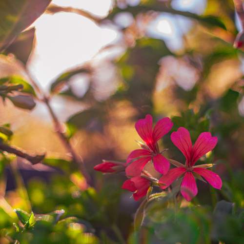 Photo #12480705