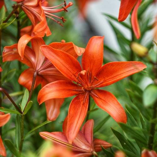 Фотография #12480853