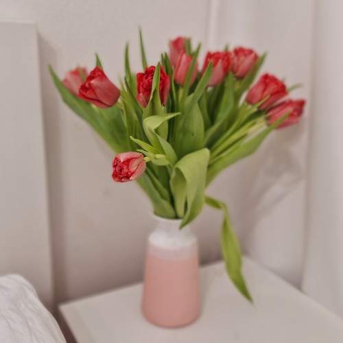 Photo #12480881