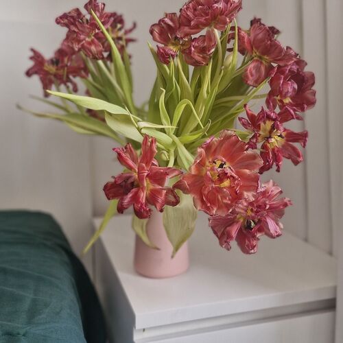 Photo #12480883