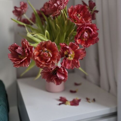 Photo #12480884