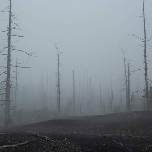 Photo #12481098