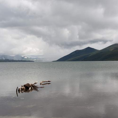 Photo #12481099