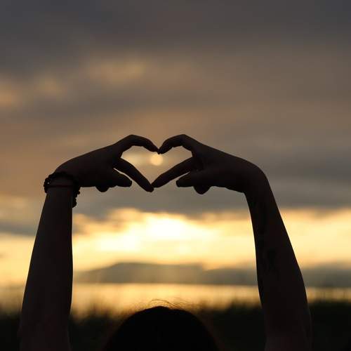Photo #12481154