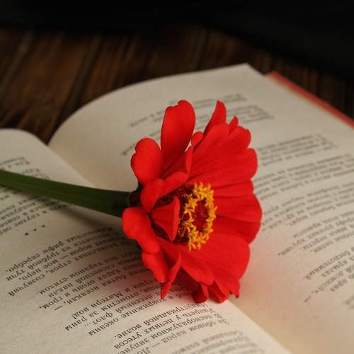 Photo #12481191