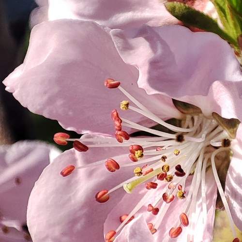Photo #12481383
