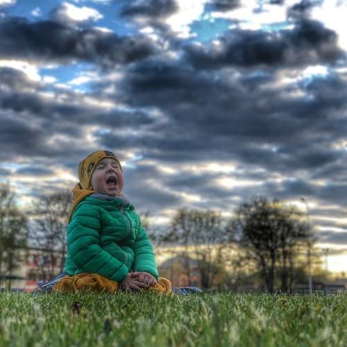 Photo #12481458