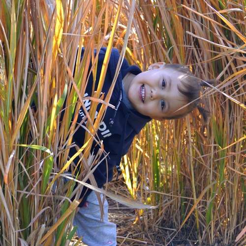 Photo #12481536