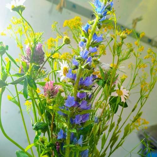 Photo #12481606
