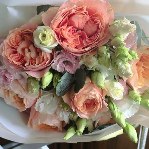 Photo #12481608