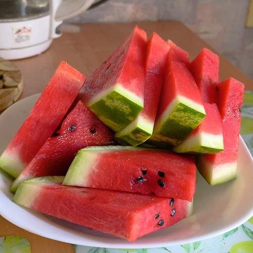 Photo #12481621