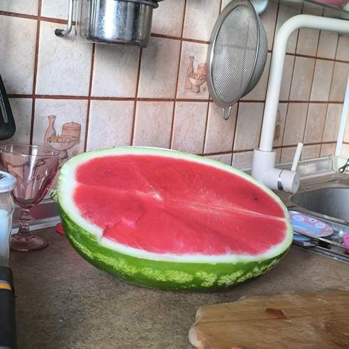 Photo #12481622