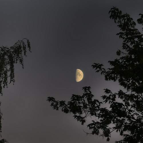 Photo #12481902