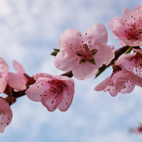 Photo #12481943