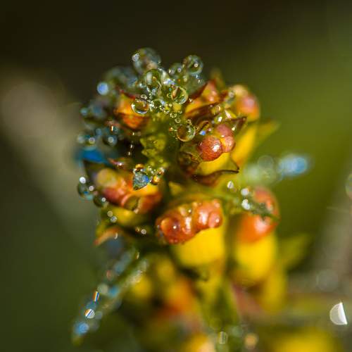 Photo #12481952