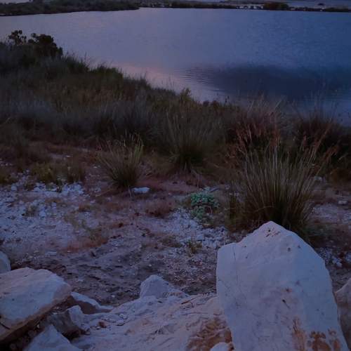 Photo #12481974
