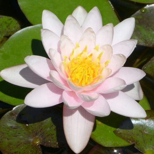 Photo #12481976