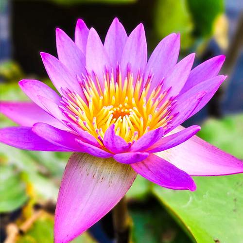 Photo #12482108