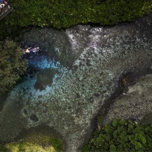 Фотография #12482140