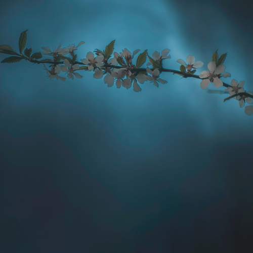Photo #12482239