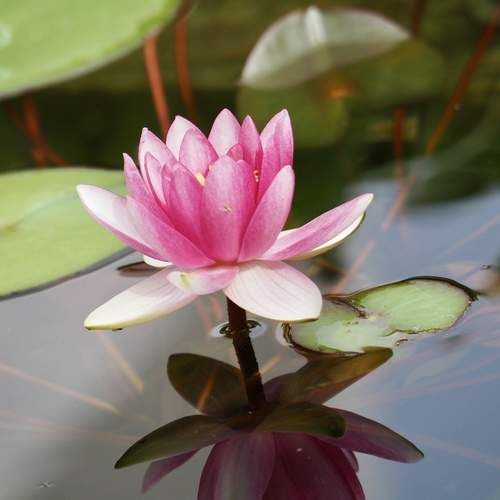 Photo #12482266