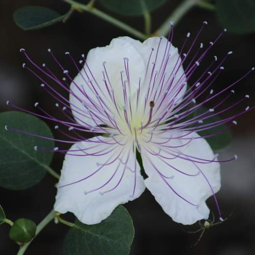 Photo #12482343