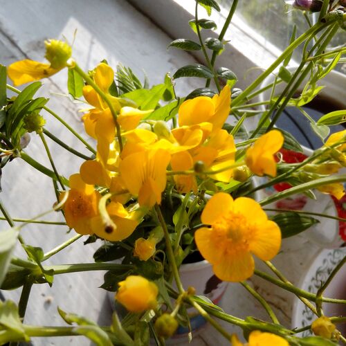 Photo #12482431