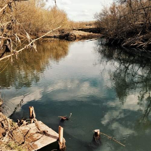 Photo #12482632