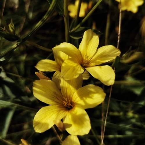 Photo #12482636