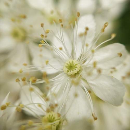 Photo #12482637