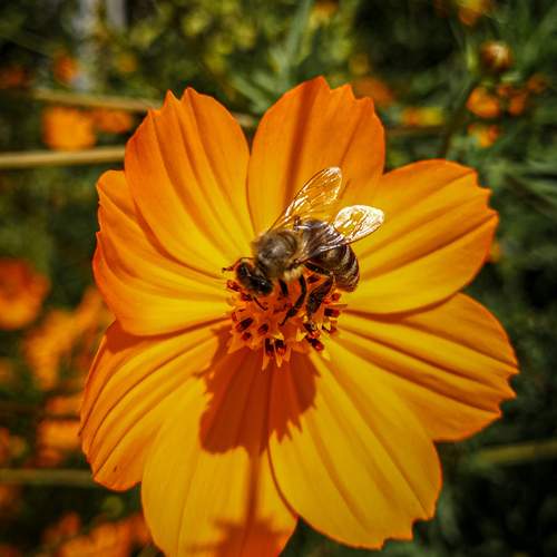 Photo #12482759