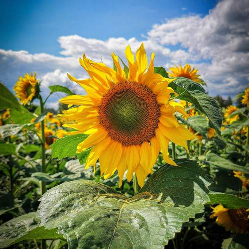 Photo #12482760