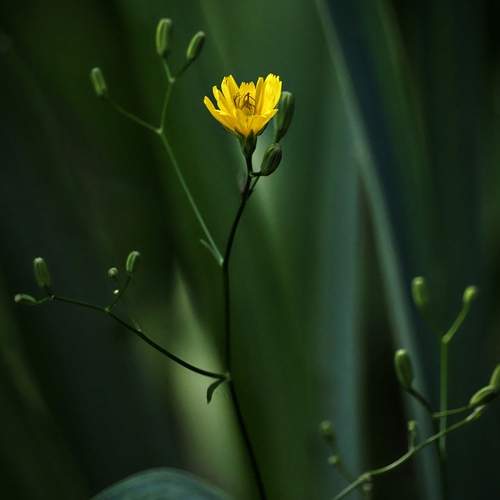 Photo #12483426