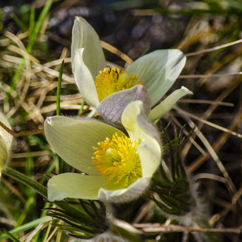 Photo #12483616