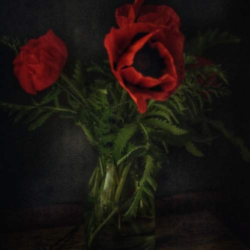 Photo #12483916