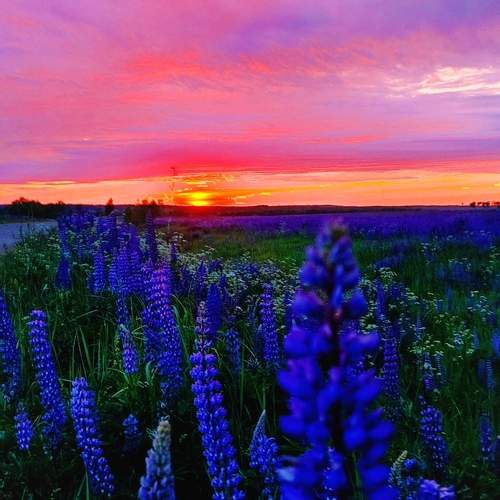 Photo #12484192