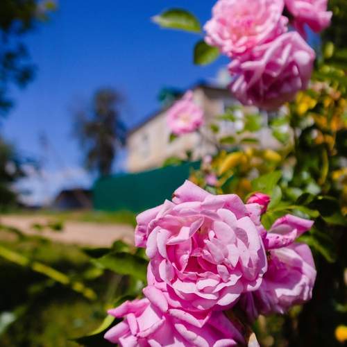 Photo #12484193