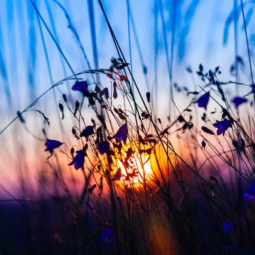 Photo #12484194
