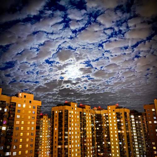 Photo #12484264
