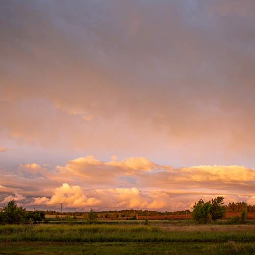 Photo #12484419