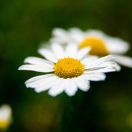 Photo #12484620